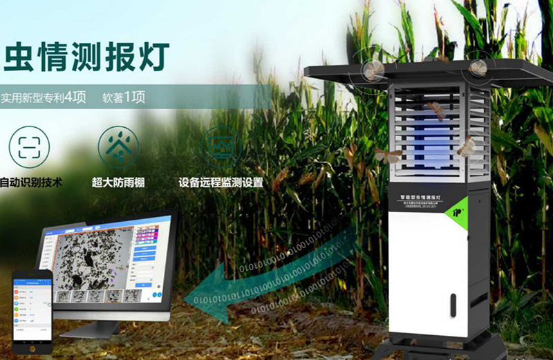 蟲情測（cè）報燈