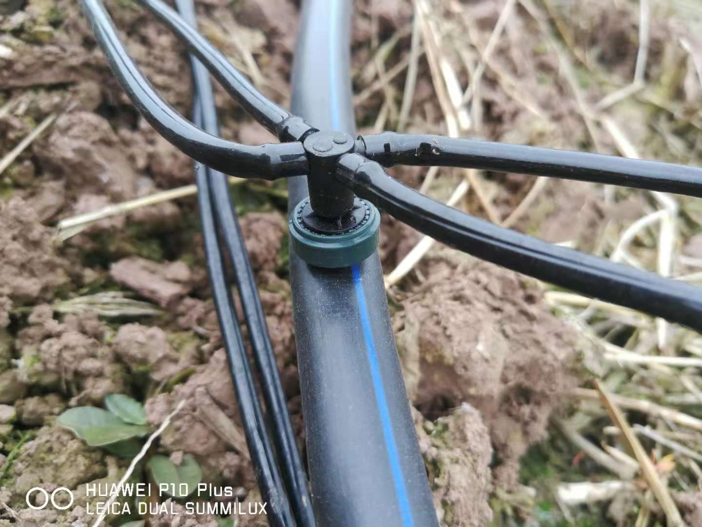 7a545d318b193a04059df4b80ca42b6.jpg 7a545d318b193a04059df4b80ca42b6.jpg